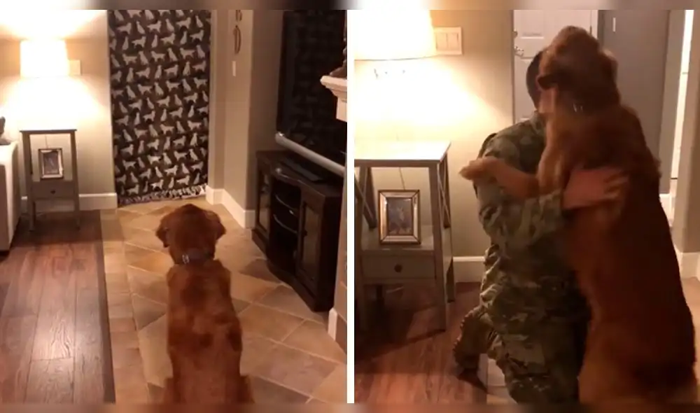 Facebook: Soldado regresa a casa luego de 2 años y reacción de su perro sorprende a todos