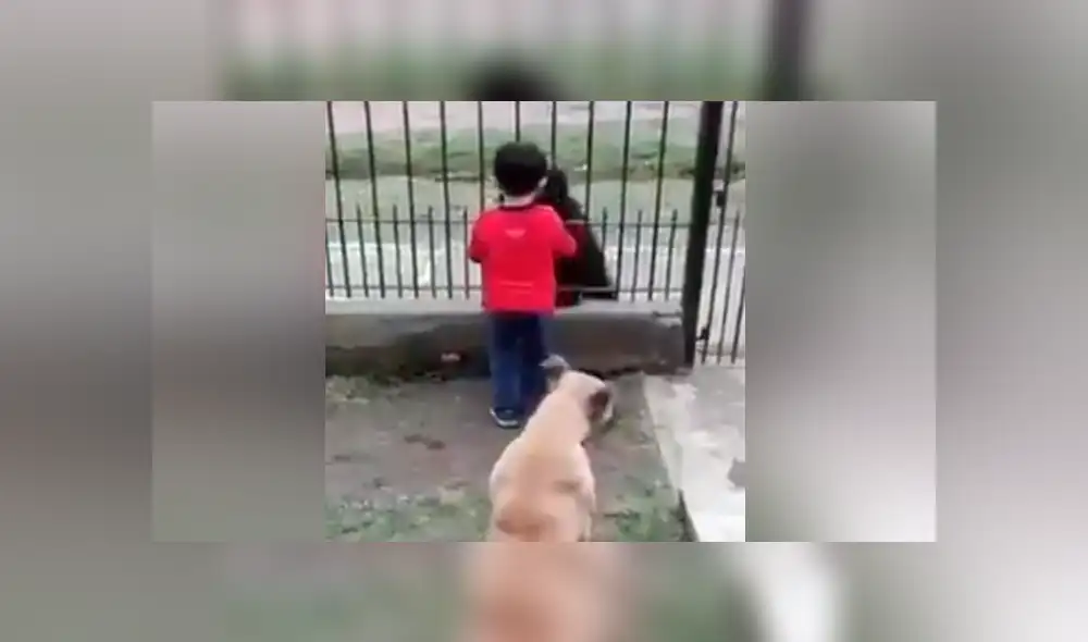 Desliza para ver los momentos más emotivos del video que se hizo viral en Facebook. Desliza para ver los momentos más emotivos del video que se hizo viral en Facebook.