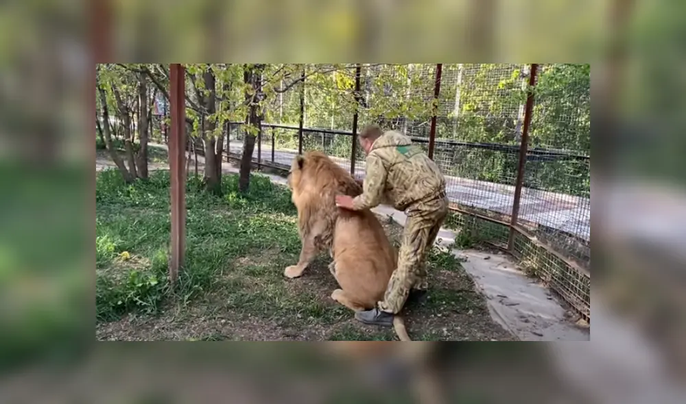 Desliza hacia la izquierda para ver las imágenes del viral de Facebook. Desliza hacia la izquierda para ver las imágenes del viral de Facebook.