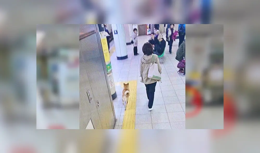 En Facebook, un perro fue capturado por la policía para evitar que cometa travesuras dentro de una estación de tren. En Facebook, un perro fue capturado por la policía para evitar que cometa travesuras dentro de una estación de tren.