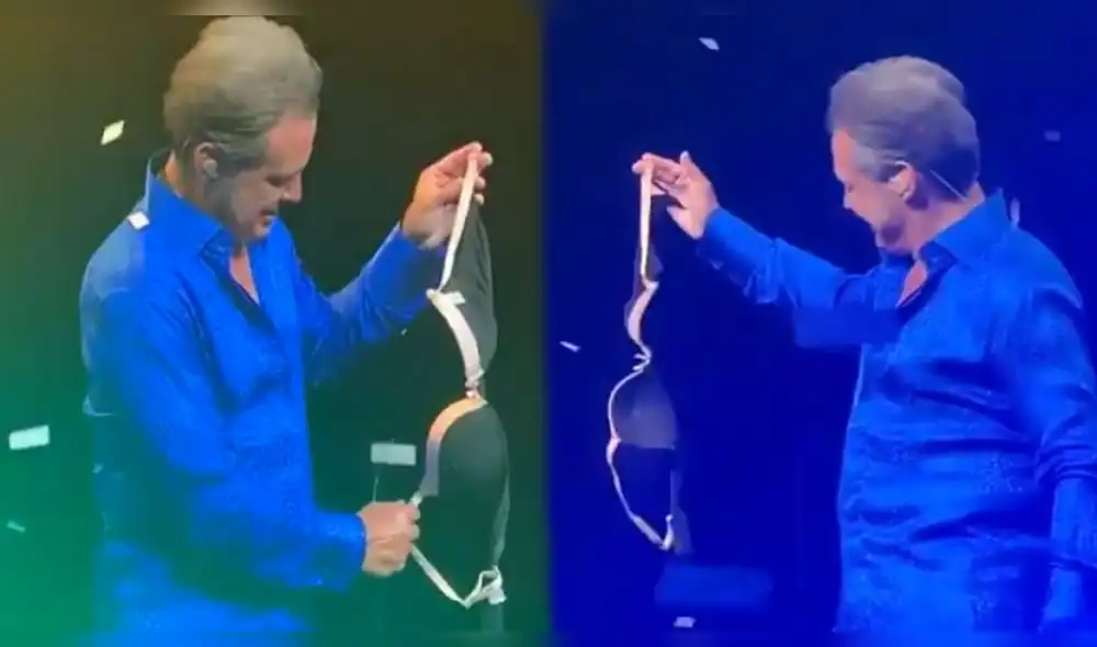 Luis Miguel: fanática interrumpe su concierto tras lanzarle un brasier 