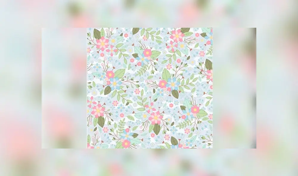 Desliza las imágenes para conocer la respuesta de este complejo reto visual. Foto: Facebook/difusión Desliza las imágenes para conocer la respuesta de este complejo reto visual. Foto: Facebook/difusión