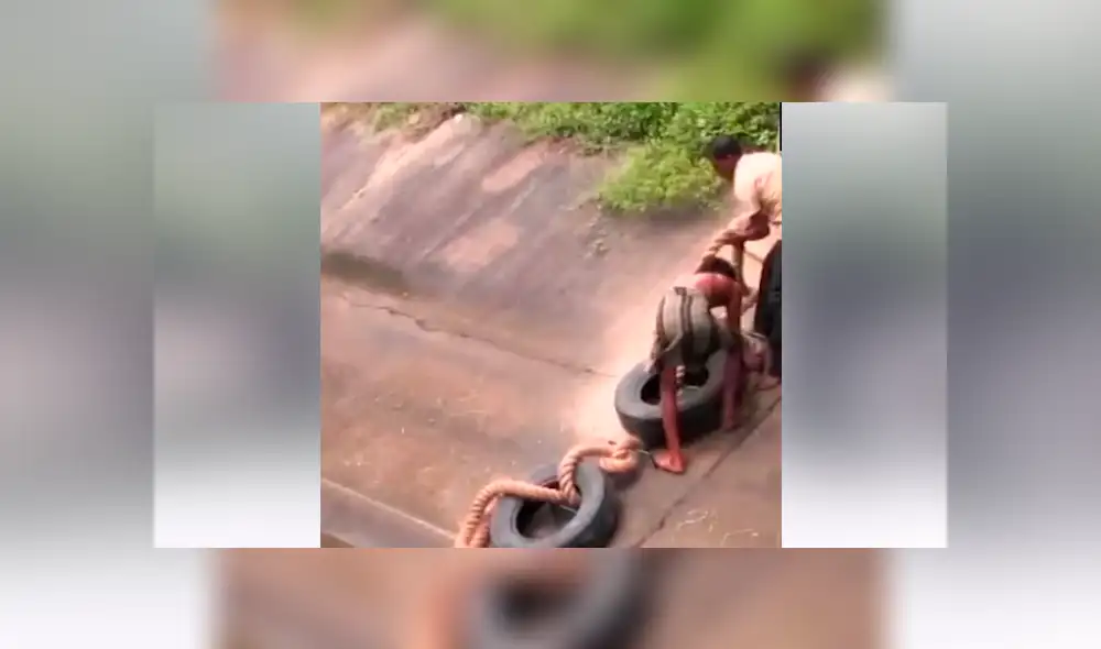 Elefante bebé queda atrapado en canal peligroso y pobladores hacen lo imposible por rescatarlo [VIDEO]