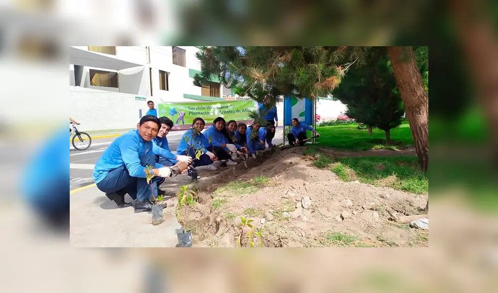 Árboles fueron sembrados en parque del distrito de Yanahuara en Arequipa. Árboles fueron sembrados en parque del distrito de Yanahuara en Arequipa.