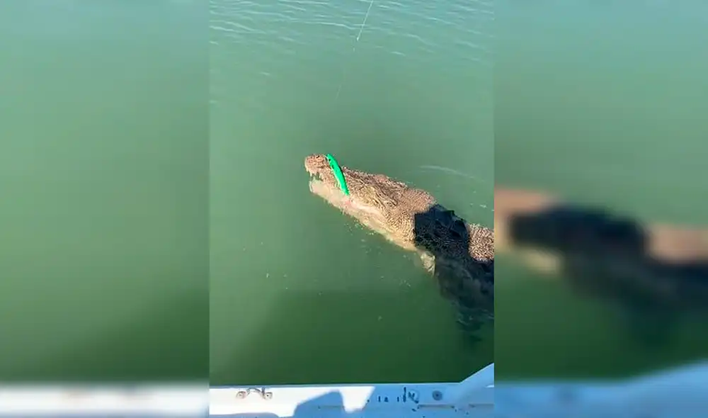 Facebook - animales - viral Facebook - animales - viral