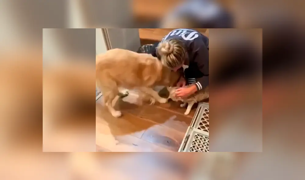 Desliza para ver los momentos más divertidos del video que se hizo viral en YouTube. Desliza para ver los momentos más divertidos del video que se hizo viral en YouTube.