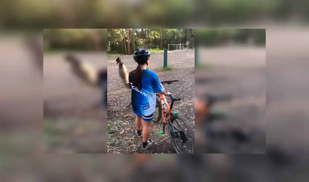 En Facebook, una chica acudió a una localidad en Australia, sin imaginar que se toparía con un gigantesco emú. En Facebook, una chica acudió a una localidad en Australia, sin imaginar que se toparía con un gigantesco emú.