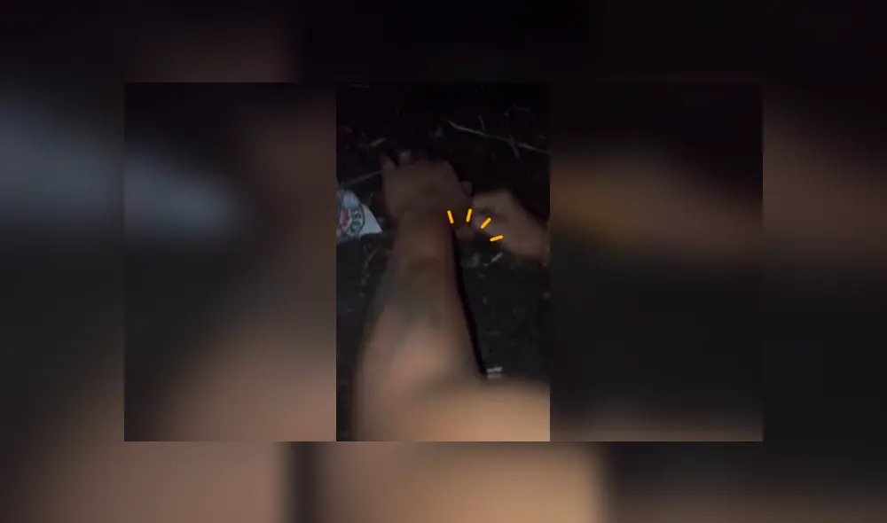 Desliza las imágenes hacia la izquierda para conocer el rescate de tres pequeños perros enterrados vivos.