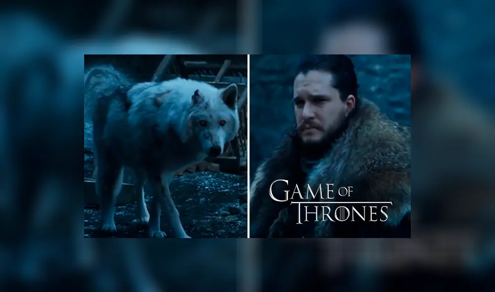 Game of Thrones: ¿Lo abandonó? El desgarrador adiós de Jon a Ghost [VIDEO]