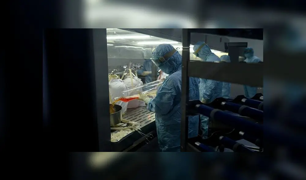 This photo taken on June 9, 2020 shows laboratory researchers working at a lab at the Yisheng Biopharma company, where researchers are trying to develop a vaccine for the COVID-19 coronavirus, in Shenyang, in China's northeast Liaoning province. - Inside Yisheng Biopharma, one of the Chinese labs racing to create a coronavirus vaccine, researchers work weekends, lab monkeys are in short supply and plans are being made for human trials abroad. (Photo by NOEL CELIS / AFP) / TO GO WITH Health-virus-China-vaccines,FOCUS by Qian Ye and Matthew Knight This photo taken on June 9, 2020 shows laboratory researchers working at a lab at the Yisheng Biopharma company, where researchers are trying to develop a vaccine for the COVID-19 coronavirus, in Shenyang, in China's northeast Liaoning province. - Inside Yisheng Biopharma, one of the Chinese labs racing to create a coronavirus vaccine, researchers work weekends, lab monkeys are in short supply and plans are being made for human trials abroad. (Photo by NOEL CELIS / AFP) / TO GO WITH Health-virus-China-vaccines,FOCUS by Qian Ye and Matthew Knight