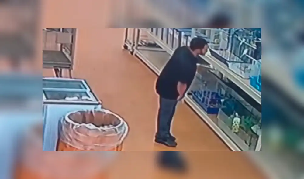 YouTube viral: un hombre ocultó en el lugar menos indicado a una serpiente que había robado  [VIDEO] 