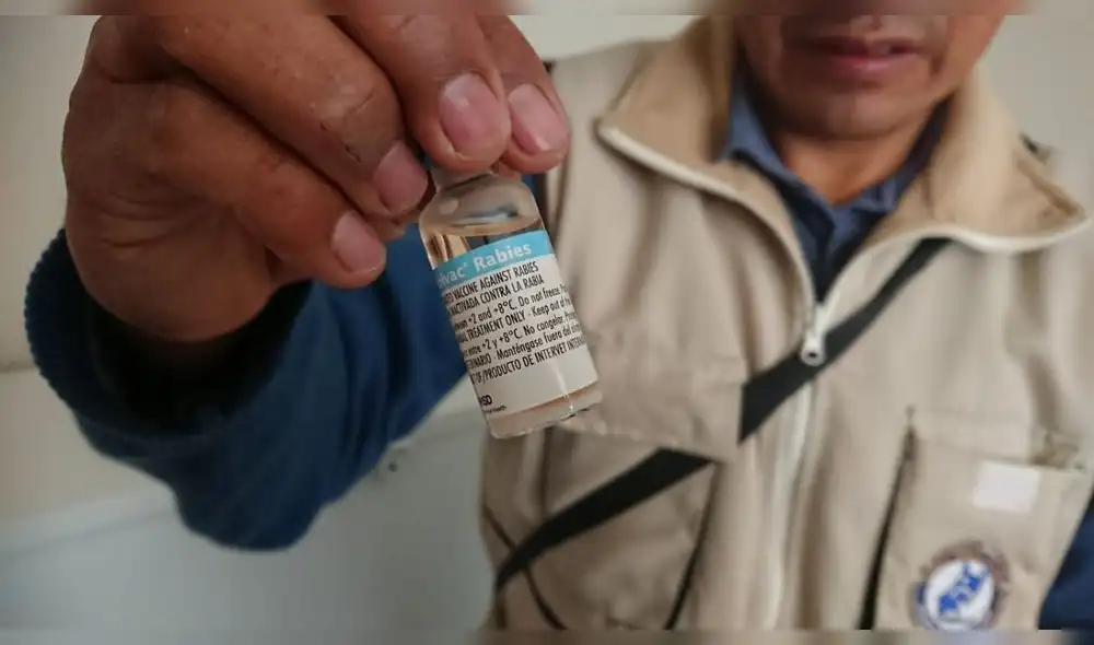 Vacunas antirrábicas Vacunas antirrábicas