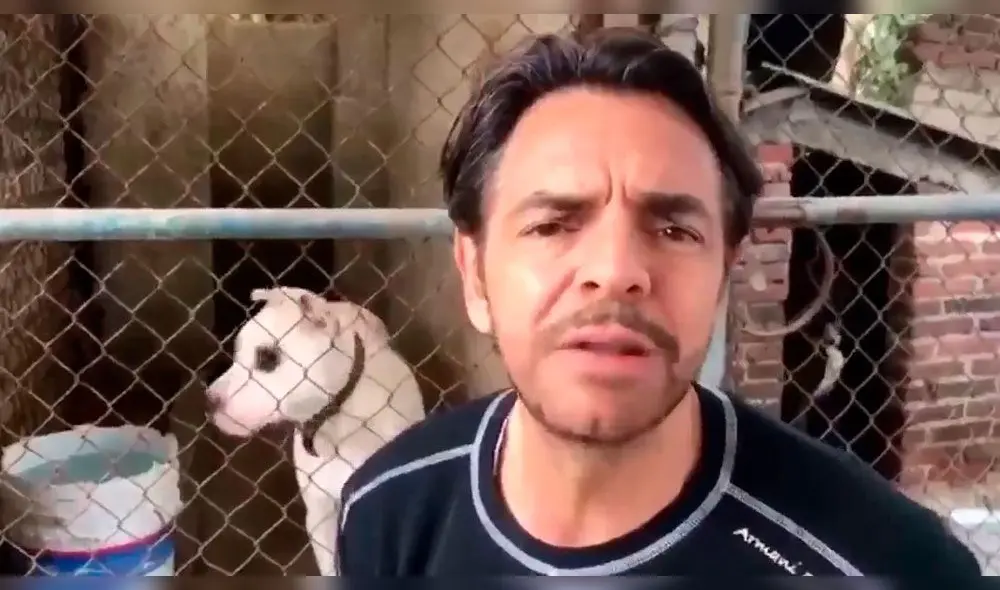 Eugenio Derbez termina con cara desfigurada por defender a perro Eugenio Derbez termina con cara desfigurada por defender a perro