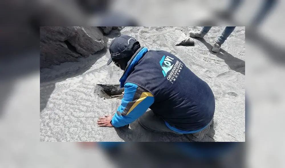 Especialistas recolectan muestras para futuros estudios Especialistas recolectan muestras para futuros estudios