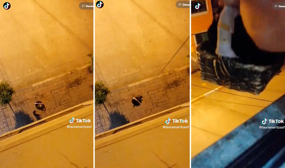 Las imágenes han superado los 8 millones de reproducciones. Foto: composición de LR/captura de TikTok/@Lauramaritzasf Las imágenes han superado los 8 millones de reproducciones. Foto: composición de LR/captura de TikTok/@Lauramaritzasf