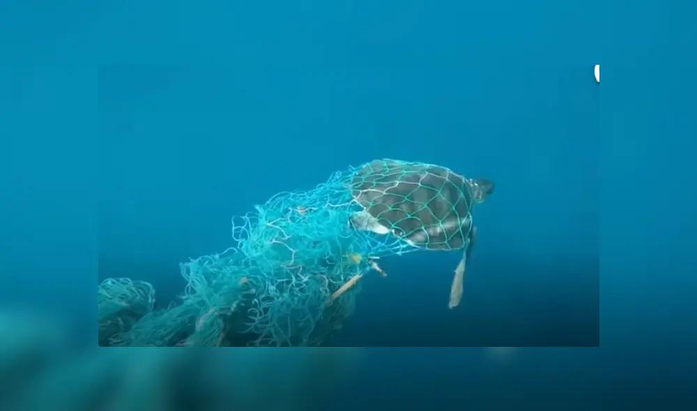 Desliza hacia la izquierda para ver más del video viral. Fotocaptura: YouTube Desliza hacia la izquierda para ver más del video viral. Fotocaptura: YouTube