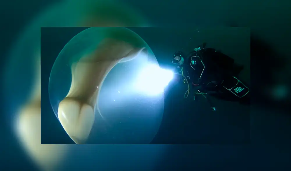 "Esta enorme masa esférica es una prueba más que la naturaleza es maravillosa", comentó un usuario de YouTube. Foto: captura "Esta enorme masa esférica es una prueba más que la naturaleza es maravillosa", comentó un usuario de YouTube. Foto: captura