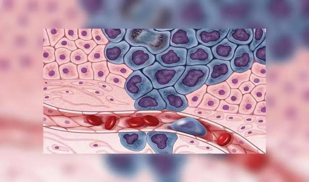 Jean Claude Zenklusen