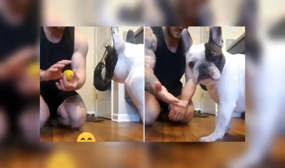 A través de Facebook se hizo viral la curiosa reacción de un can al ser víctima de un truco de magia de su dueño.