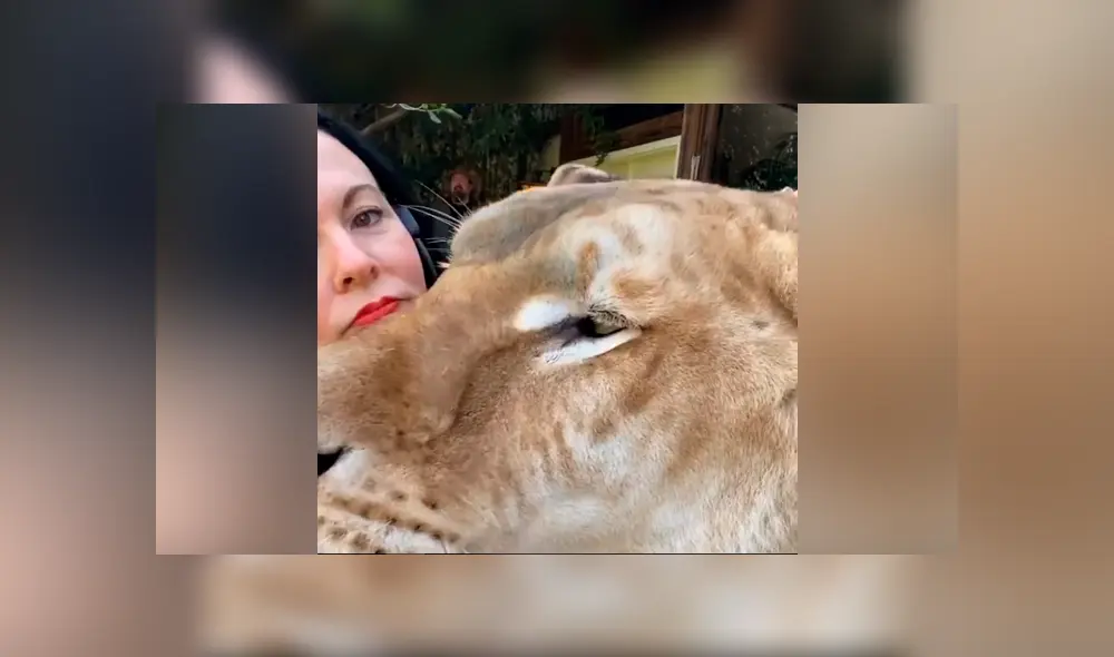 Desliza hacia la izquierda para ver la tierna escena que se volvió viral en YouTube. Desliza hacia la izquierda para ver la tierna escena que se volvió viral en YouTube.