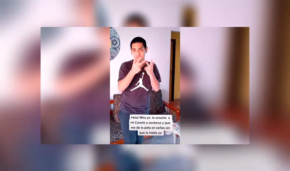 Desliza las imágenes hacia la izquierda para conocer la actitud de un perro tras obedecer a su dueño en señas. Desliza las imágenes hacia la izquierda para conocer la actitud de un perro tras obedecer a su dueño en señas.