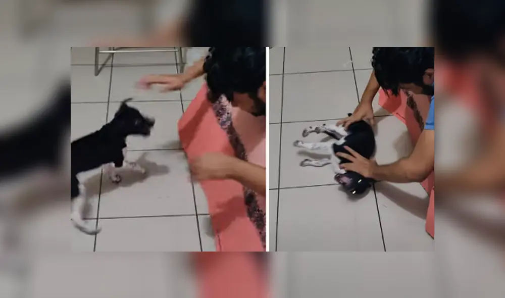 Desliza hacia la izquierda para ver las imágenes del viral de YouTube.