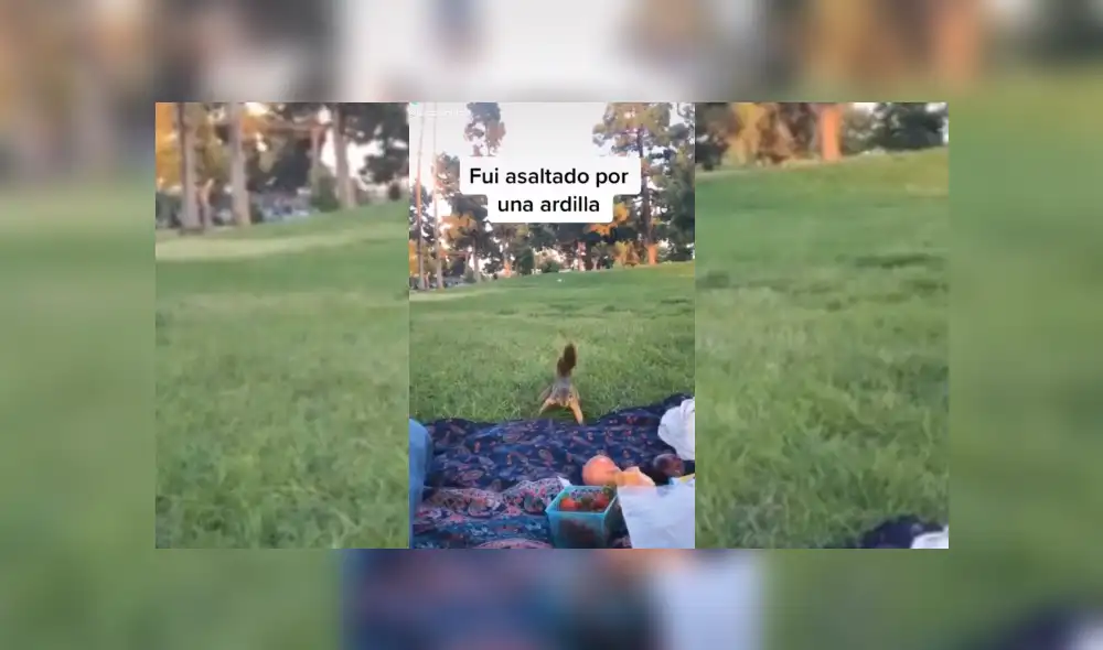 Desliza hacia la izquierda para ver más del vdieo viral. Desliza hacia la izquierda para ver más del vdieo viral.