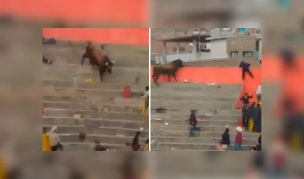 Mujer fue atacada durante corrida de toros en VMT. Foto: Captura Latina Mujer fue atacada durante corrida de toros en VMT. Foto: Captura Latina