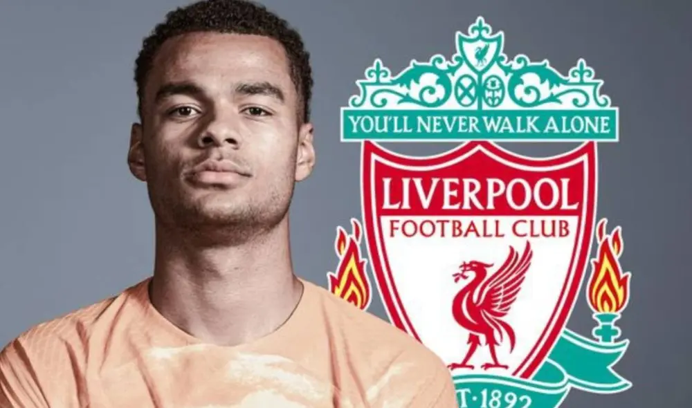 Cody Gakpo cambiará la liga de Países Bajos por la Premier League en enero. Foto: Twitter Cody Gakpo cambiará la liga de Países Bajos por la Premier League en enero. Foto: Twitter