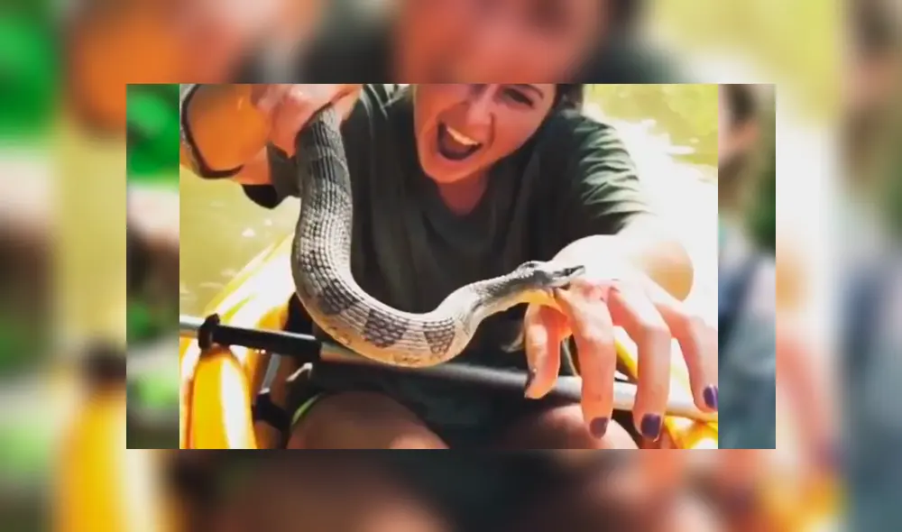 Facebook viral: chica intenta tomarse ‘selfie’ con letal serpiente, sin imaginar inesperada reacción del depredador Facebook viral: chica intenta tomarse ‘selfie’ con letal serpiente, sin imaginar inesperada reacción del depredador