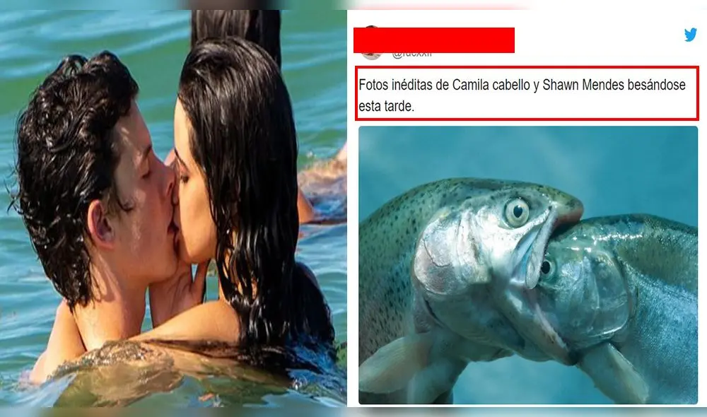 Hilarantes memes tras los apasionados besos de Camila Cabello y Shawn Mendes