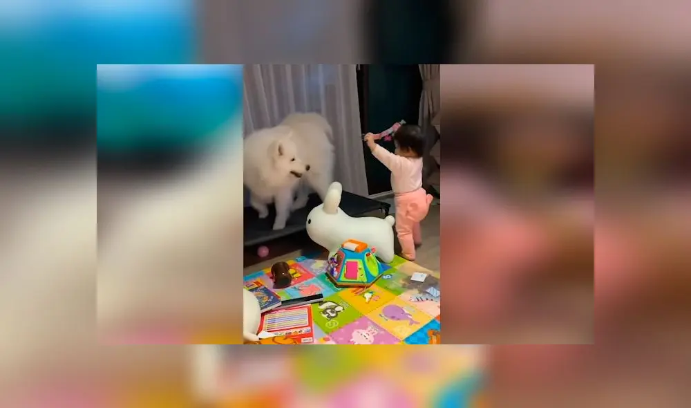 Desliza las imágenes para ver la emotiva escena que registró una madre entre su bebé y su mascota. Foto: Viral Press