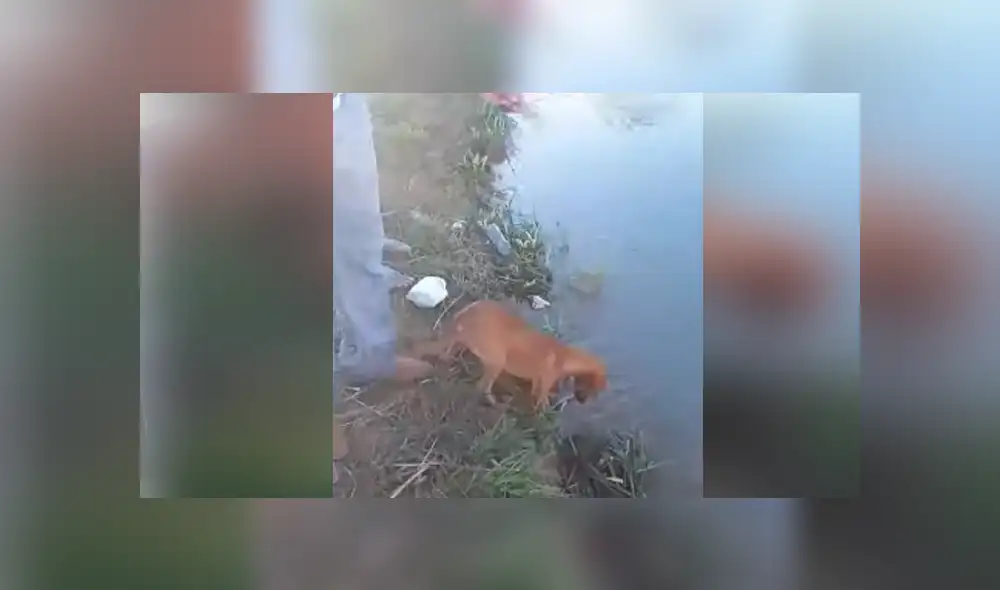 Desliza hacia la izquierda para ver las imágenes del viral de YouTube. Desliza hacia la izquierda para ver las imágenes del viral de YouTube.