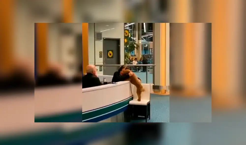 En Facebook, un perro cautivó con su comportamiento al pedir unas amorosas caricias a una trabajadora. En Facebook, un perro cautivó con su comportamiento al pedir unas amorosas caricias a una trabajadora.