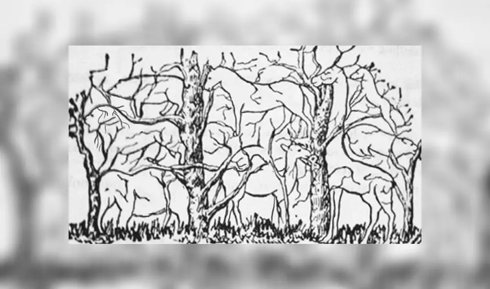 Desliza las imágenes para ver todas las respuestas de este complejo reto visual que intenta determinar el tipo de personalidad que tienes'. Foto: Facebook Desliza las imágenes para ver todas las respuestas de este complejo reto visual que intenta determinar el tipo de personalidad que tienes'. Foto: Facebook