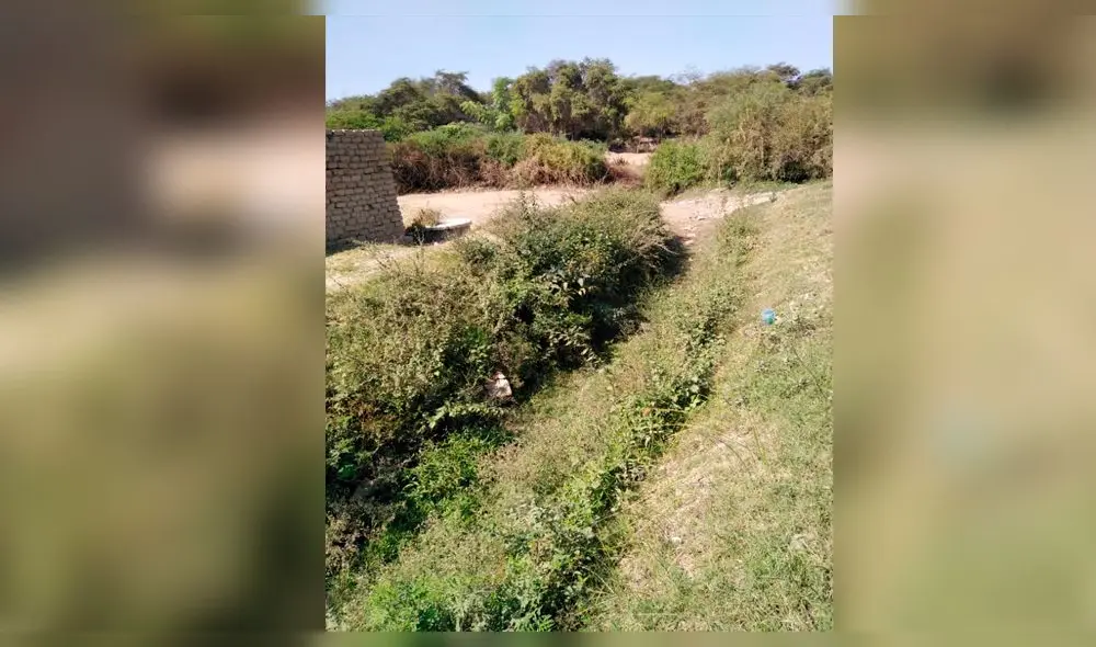 Limpieza de canales en Lambayeque Limpieza de canales en Lambayeque