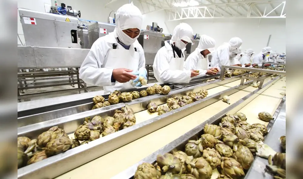 BCRP: Exportaciones agropecuarias registraron incremento acumulado de 9,3% a setiembre