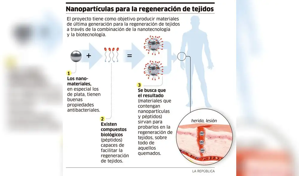 Nanoparticulas para la regeneración de tejidos [INFOGRAFÍA]