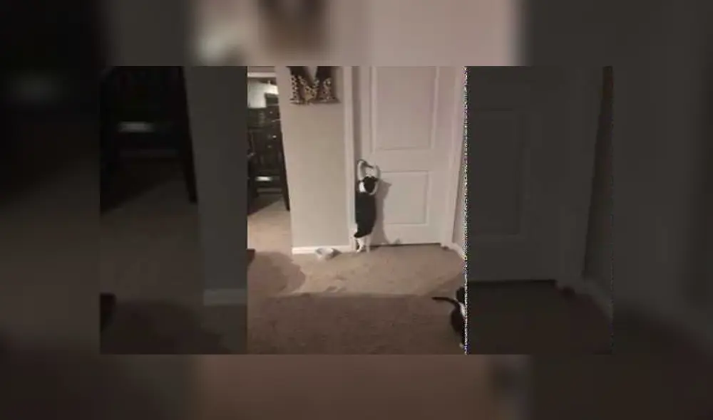 Desliza para ver los detalles del video viral publicado en YouTube. Foto: Captura. Desliza para ver los detalles del video viral publicado en YouTube. Foto: Captura.