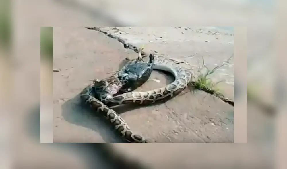 El espeluznante momento quedó registrado en una impactante grabación que se ha hecho viral en YouTube y otras redes El espeluznante momento quedó registrado en una impactante grabación que se ha hecho viral en YouTube y otras redes