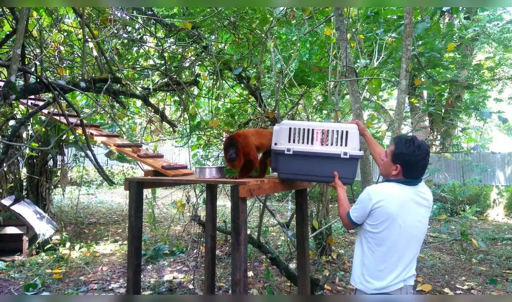 Centro de rescate de animales Centro de rescate de animales