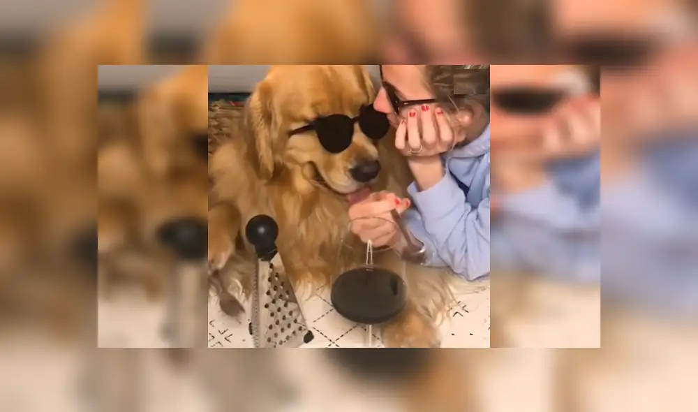 Desliza las imágenes para ver a este divertido perro que ha causado sensación por su interpretación de 'Stand by me'.