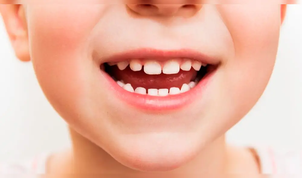 Células madre en los dientes de leche podrían curar el cáncer y prevenir infartos Células madre en los dientes de leche podrían curar el cáncer y prevenir infartos