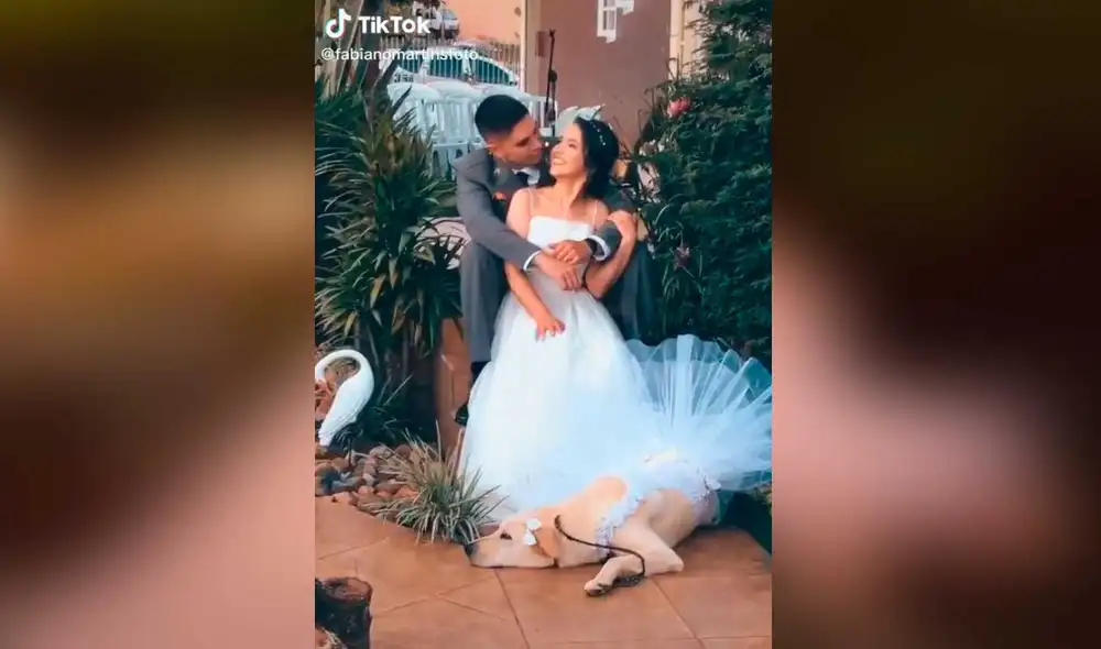 Desliza las imágenes para ver la emotiva escena que protagonizó esta cachorra en el día de la boda de su dueña. Foto: captura de TikTok/fabianomartinsfoto Desliza las imágenes para ver la emotiva escena que protagonizó esta cachorra en el día de la boda de su dueña. Foto: captura de TikTok/fabianomartinsfoto