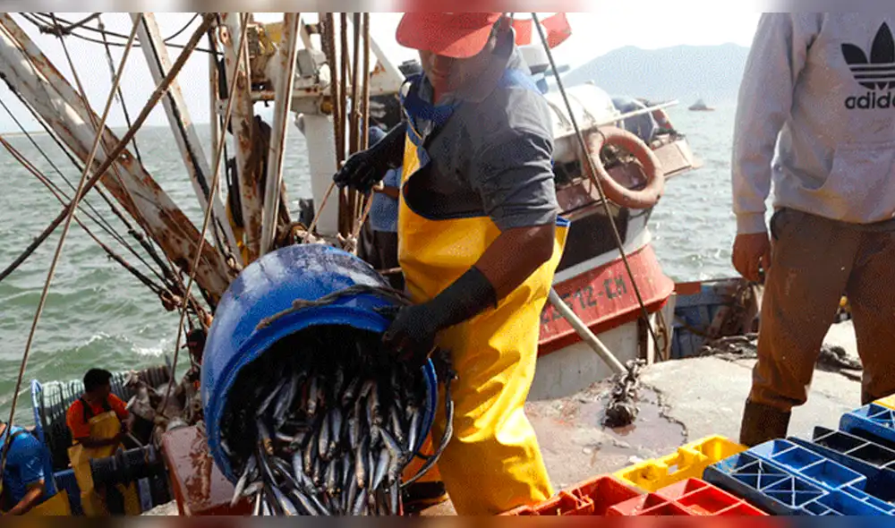 Capacitarán a pescadores artesanales peruanos ante posible sanción de Chile