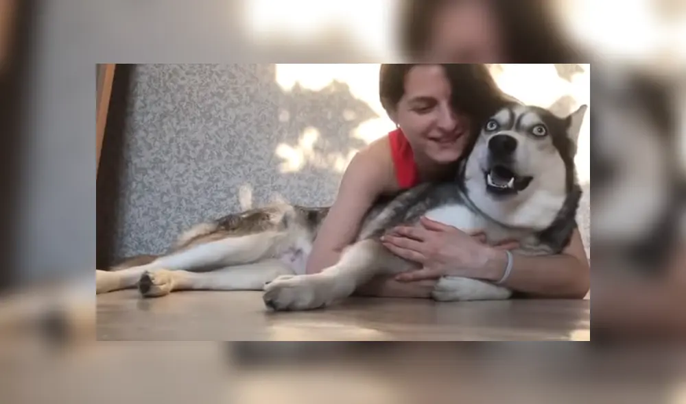 A través de Facebook se volvió viral la hilarante reacción de un perro al ser abrazado por su dueña. A través de Facebook se volvió viral la hilarante reacción de un perro al ser abrazado por su dueña.