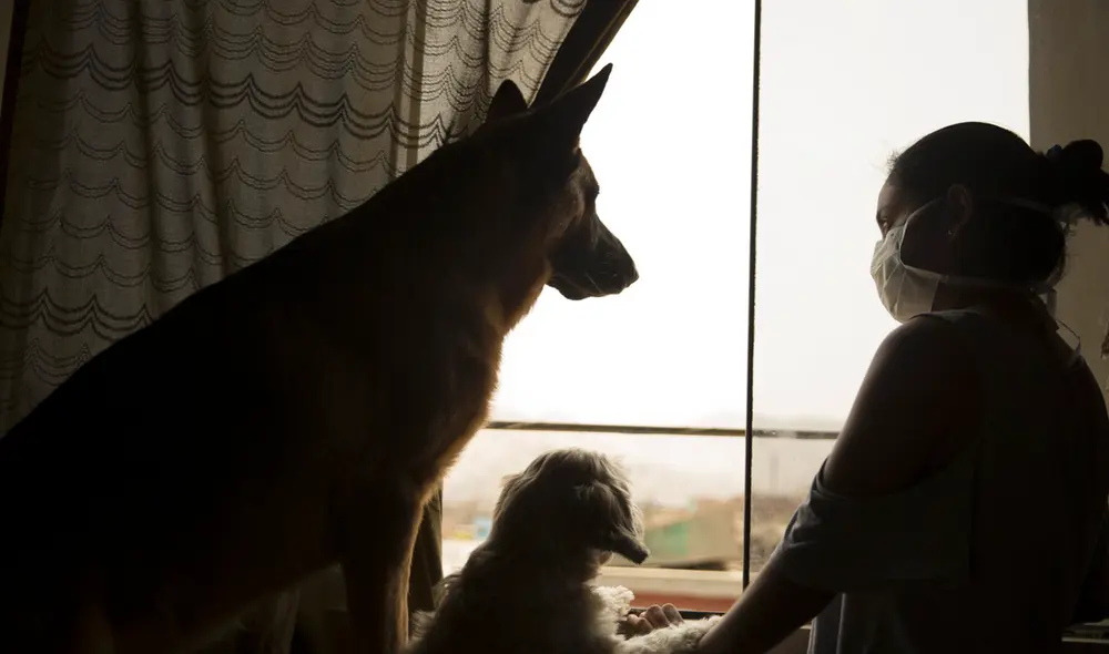 El miedo a salir de casa, espacio donde se siente seguros, se puede deber a  la sobreexposición a la información sobre el virus. Foto: Andina