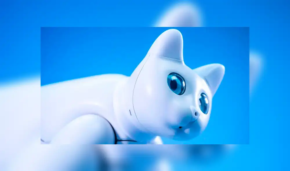 Desliza a la izquierda para descubrir este tierno robot. Desliza a la izquierda para descubrir este tierno robot.