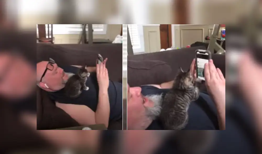 Desliza hacia la izquierda para ver más del video viral. Fotocaptura: YouTube Desliza hacia la izquierda para ver más del video viral. Fotocaptura: YouTube