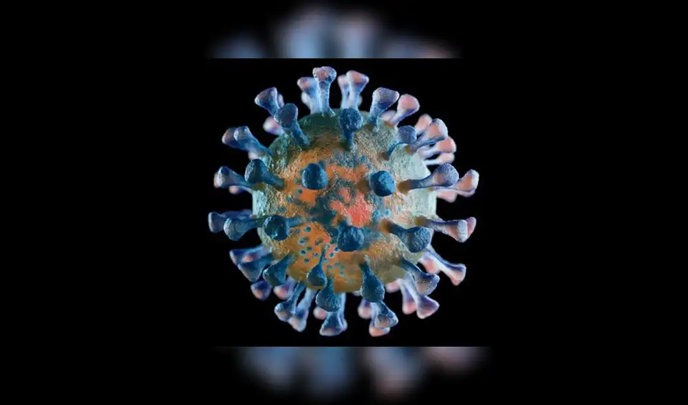 Análisis genómico sugiere que el nuevo coronavirus surgió de la recombinación de dos virus. Imagen referencial: EPR.